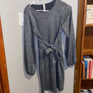 Silver Long Sleeve Dress